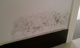 墙体潮湿怎么装修（墙体潮湿怎么装修）