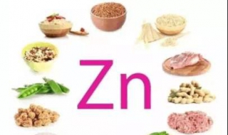 什么食物含锌量高 什么食物含锌量高且易吸收