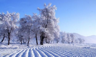 雪的作用是什么（关于雪的作用特点）