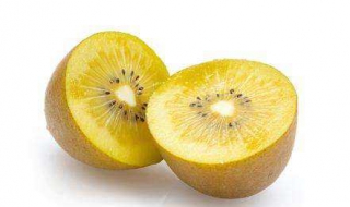 猕猴桃品种介绍 瑞玉猕猴桃品种介绍