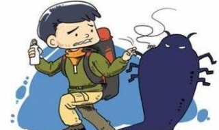 蜱虫图片 蜱虫图片咬人后图片
