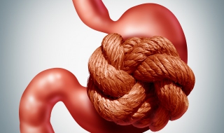 脾胃虚弱怎么调理（脾胃虚弱怎么调理最快中成药）