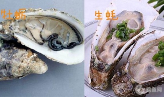 海蛎与生蚝的区别 海蛎与生蚝的区别在哪里