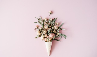 绣球花的养殖方法，3个小步骤搞定（绣球花养殖方法与技巧）