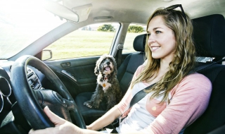 手动换挡技巧 开手动挡换挡技巧