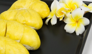 泰国金枕榴莲和猫山王榴莲的区别 泰国金枕榴莲与猫山王榴莲有什么区别