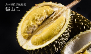 猫山王榴莲介绍（猫山王榴莲介绍视频）