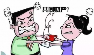 夫妻共同财产 夫妻共同财产离婚怎么分配