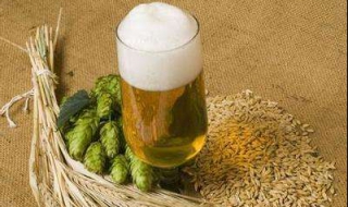 啤酒能不能浇花（啤酒能不能浇花或者浇树）