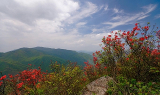 绿春湖在哪里（绿春湖要门票吗）