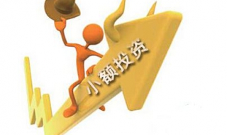 怎样小额投资（怎样小额投资大回报）