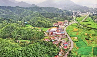 适合农村的创业项目 农村创业做什么最适合