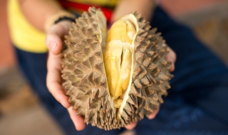 榴莲不能和什么一起吃（榴莲不能和什么一起吃要命）