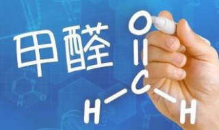 除甲醛十大排名 除甲醛十大排名植物有哪些?