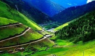 卡子拉山主要景观（卡子拉山位于什么地方）