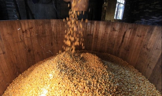 几斤粮食出一斤酒（纯粮酒几斤粮食出一斤酒）