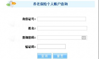 养老金怎么查询（养老金怎么查询明细）