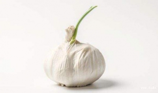 大蒜存放方法 大蒜的存放方法