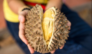 榴莲怎么剥开（冷冻榴莲怎么剥开）