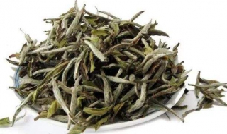 福鼎白茶怎么泡 白牡丹福鼎白茶怎么泡