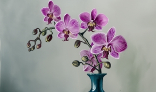 冬天兰花怎么养 冬天兰花怎么养才能开花