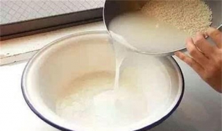 淘米水养花的方法 淘米水可以用来养花吗