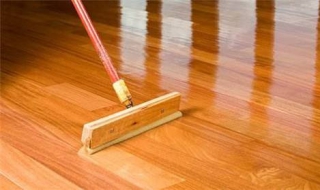 地板精油怎么用（地板精油怎么用,养猫了）