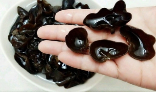 木耳如何快速泡发（木耳如何快速泡发变软）