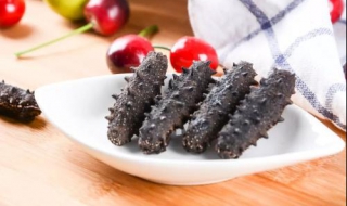 鉴别海参的方法（鉴别海参的方法有哪些）