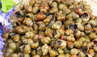 大田螺怎么洗净（大田螺怎么洗净视频）