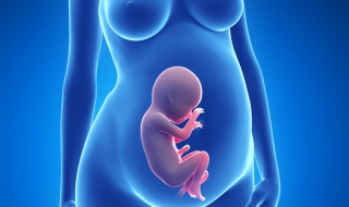 怎么样才能怀孕 怎么样才能怀孕视频