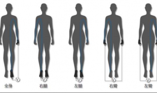 怎样测量体脂 怎样测量体脂秤准不准