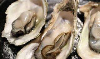 生蚝的处理方法 生蚝的处理方法和做法