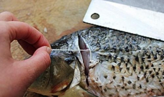 鱼的腥线如何去除（鱼的腥线如何去除味道）