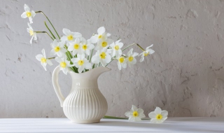 鲜花保鲜怎么做（鲜花保鲜怎么做好）