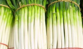 大葱保鲜储存方法（家庭大葱保鲜储存方法）
