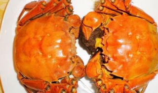 大闸蟹蒸多长时间最好 大闸蟹蒸多长时间最好呢