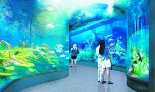 大明湖海底世界景区指南（大明湖海底世界景区指南图片）