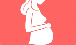 怎么样才能怀孕（怎么样才能怀孕几率高）