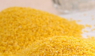 小米的功效与作用（小米的功效与作用禁忌）