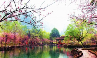 酉阳桃花源景点简述（酉阳桃花源景色）