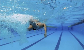 学自由泳的步骤 学自由泳的技巧