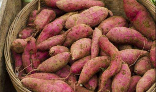 红薯的保存方法 红薯的保存方法在家里怎样放