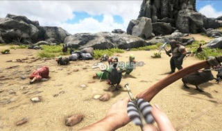 方舟生存进化单机攻略（方舟生存进化单机攻略怎么设置）