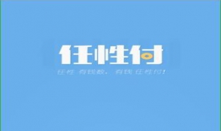 苏宁任性付是什么 苏宁任性付是什么性质