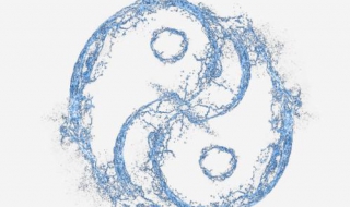 太极拳实战技巧（太极拳实战技法）