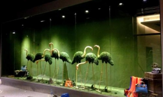 服装店的橱窗设计怎么做（服装店的橱窗设计怎么做的）