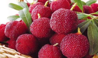 杨梅怎么吃不酸 杨梅太酸了有什么吃法没那么酸呢