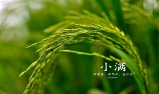 小满图片（网红小满图片）