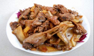 红烧鸭肉的家常做法 红烧鸭肉的家常做法窍门